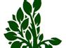 Evergreen Landscaping Ltd